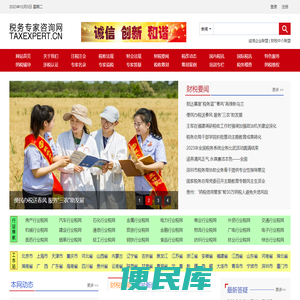 税务专家咨询网