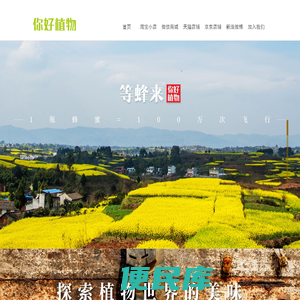 你好植物