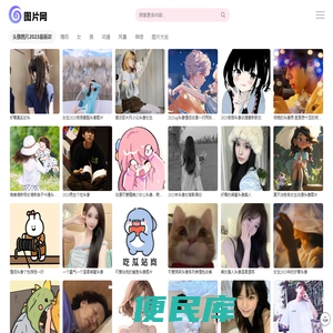 图片2023新图片