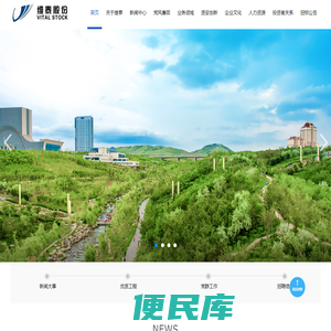 新疆维泰开发建设（集团）股份有限公司