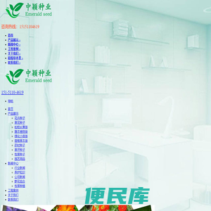 草坪种子