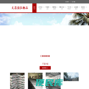 文昌强弘椰品有限公司