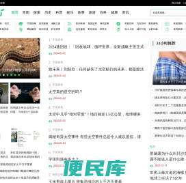 帆叶网