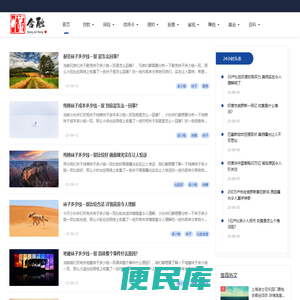 懂金融