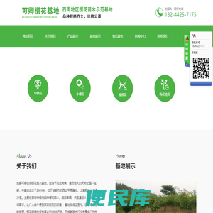 成都可卿农场/樱花苗木基地/成都樱花基地/成都樱花苗木批发