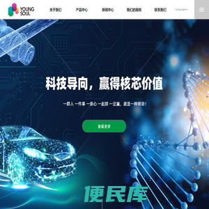 上海赢朔电子科技股份有限公司