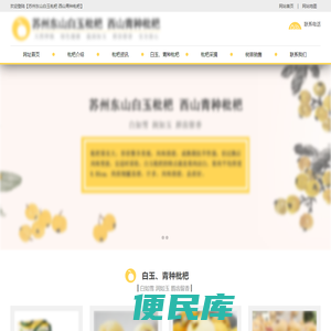 苏州东山白玉枇杷,西山青种枇杷2022采摘上市时间,网络批发价格更优!