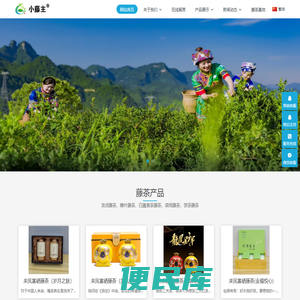 藤茶的功效与作用，富硒藤茶，来凤藤茶价格