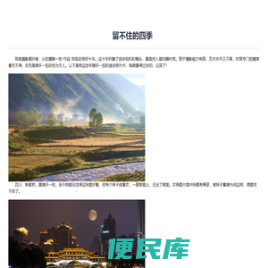 发票查询