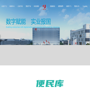 今飞控股集团有限公司
