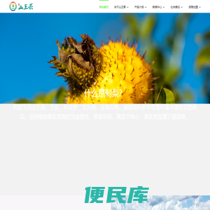 贵州山王果健康实业有限公司