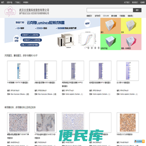 武汉优尔生商贸有限公司