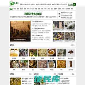 酷蜜蜂