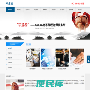 中金税税务师事务所有限公司