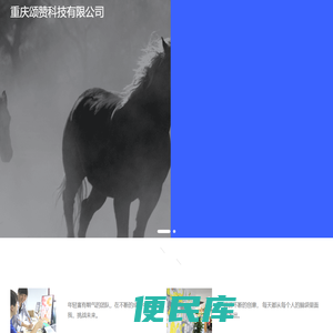 重庆颂赞科技有限公司