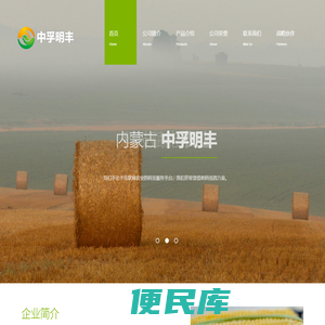 中孚明丰