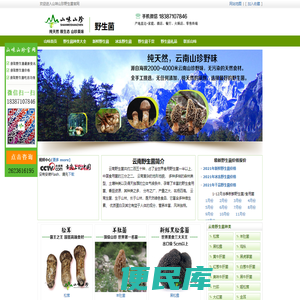 云南野生菌批发