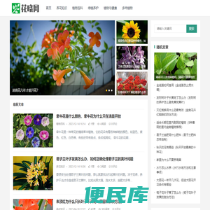花晓网