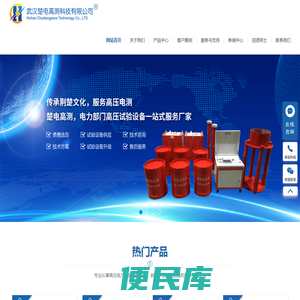 武汉楚电高测科技有限公司