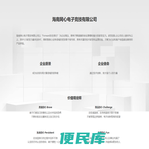 海南网心电子竞技有限公司