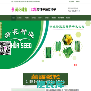 蔬菜种子批发