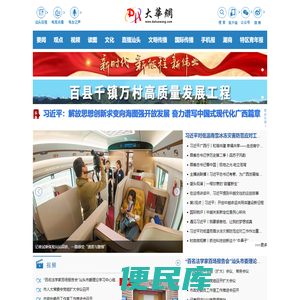 大华网