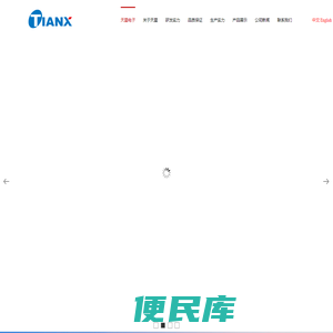 天星电子