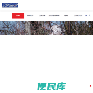 Superior
