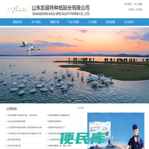 山东凯丽特种纸股份有限公司