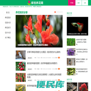 辉恒养花网