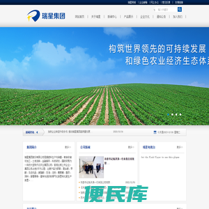 瑞星集团股份有限公司