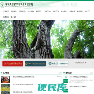 聊城大学农学与农业工程院