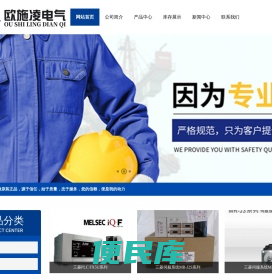 福建欧施凌电气有限公司