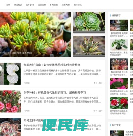 拾心养花网