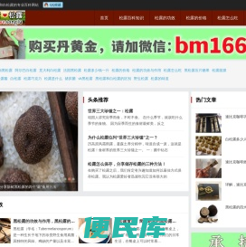 爱松露网
