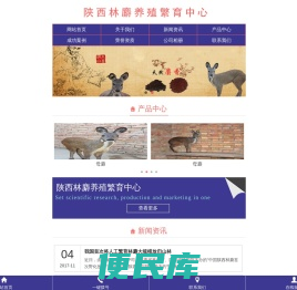 麝