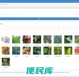 中药大全