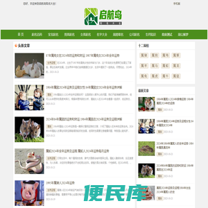 启航岛取名大全