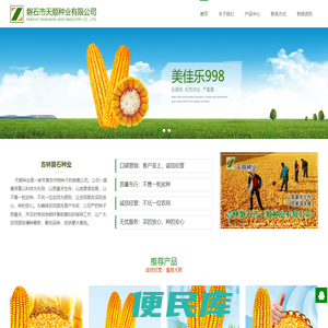 磐石玉米种子