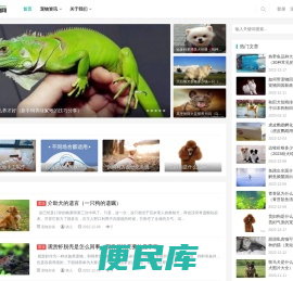 绿火宠物网