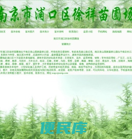 南京苗圃