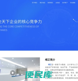维正集团