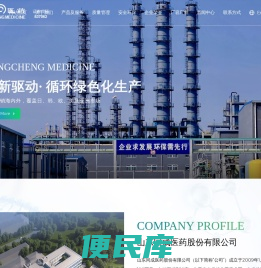 山东同成医药股份有限公司