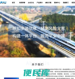 南京派光