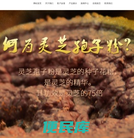 灵芝孢子粉