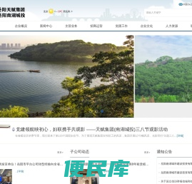 岳阳市天赋城市发展集团有限公司