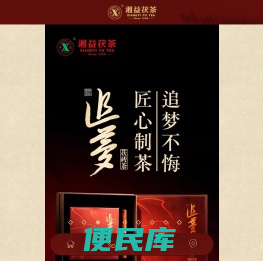 湖南省益阳茶厂有限公司