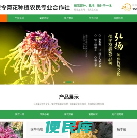 滑县宗令菊花种植农民专业合作社