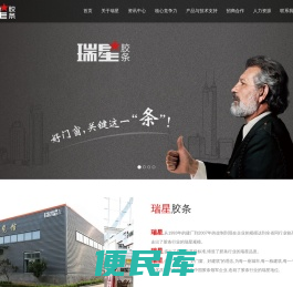 临朐瑞星塑胶制品有限公司