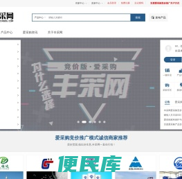 丰采网